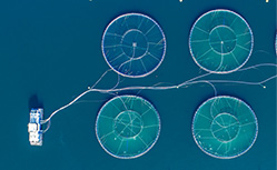 fish farming