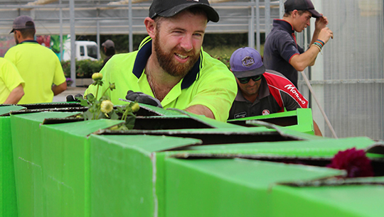 Agrilabour-Australia-Factory-劳工租赁