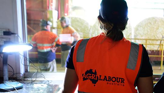 Agrilabour-Australia-Factory-劳工租赁